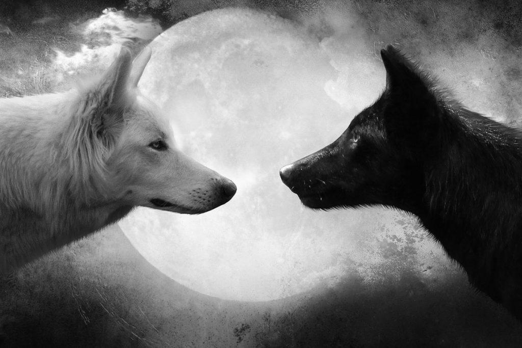 Очень мудрая притча про 2х волков. Читается 20 секунд, а