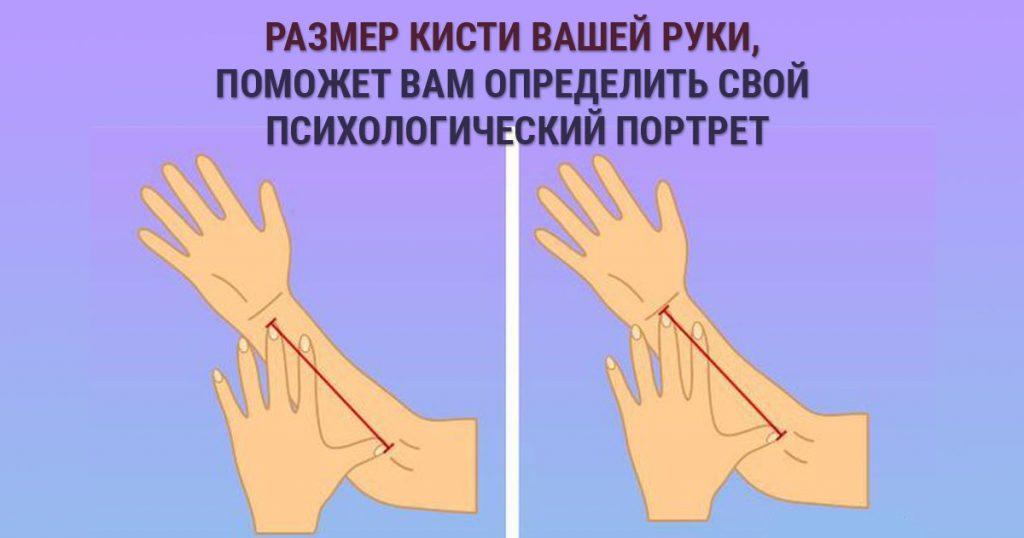 Измерив свою кисть, можно узнать особенности своего характера
