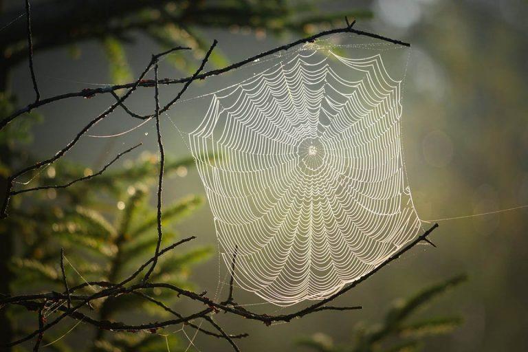 Что делать если твою фотографию выложили без твоего разрешения