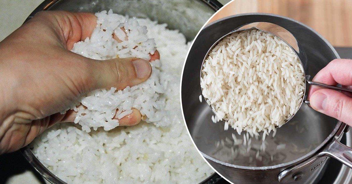 Если есть рис каждый день. Норма риса на человека. Рис каждый день. Ест рис. С чем есть рис.