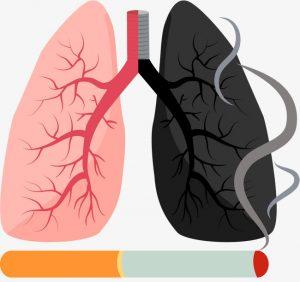 Фото легкие после курения